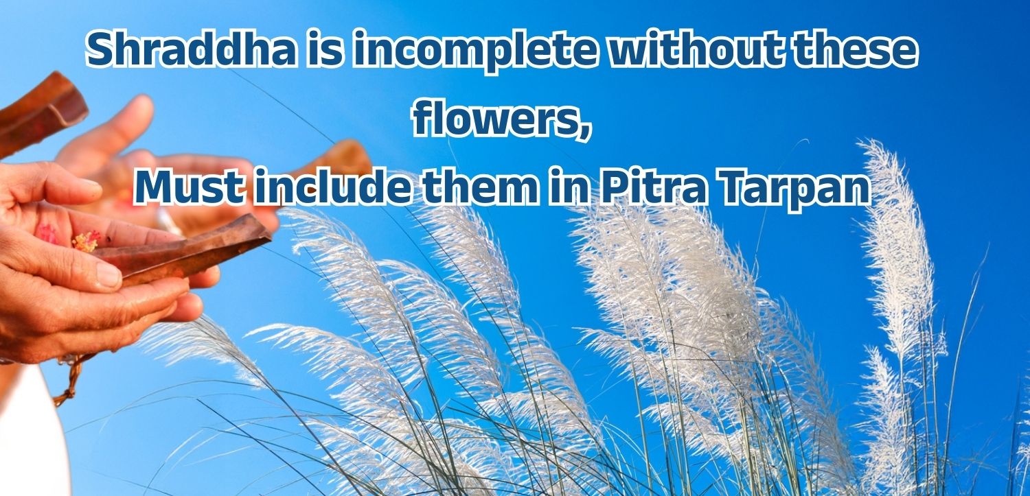 Shradha puja is incomplete without these flowers, definitely include them in Pitra Tarpan