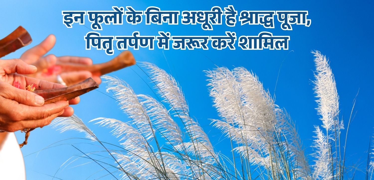 इन फूलों के बिना अधूरी है श्राद्ध पूजा, पितृ तर्पण में जरूर करें शामिल