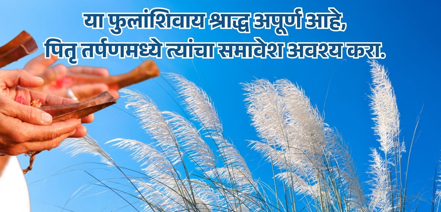 या फुलांशिवाय श्राद्ध पूजा अपूर्ण आहे, पितृ तर्पणमध्ये त्यांचा समावेश नक्कीच करा.