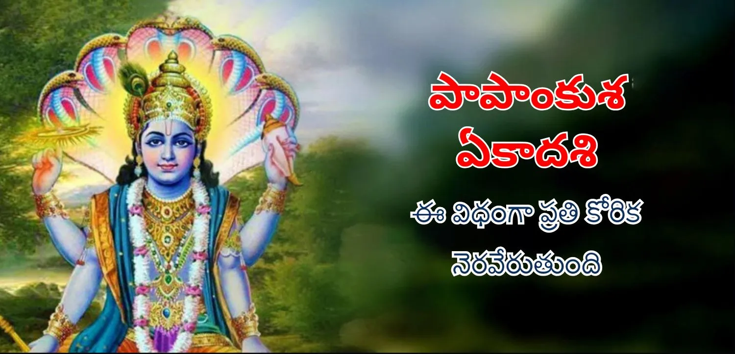 పాపాలపై నియంత్రణ పెడుతుంది పాపాంకుశా ఏకాదశి, ఇలా ప్రతి మనోకామన నెరవేరుతుంది