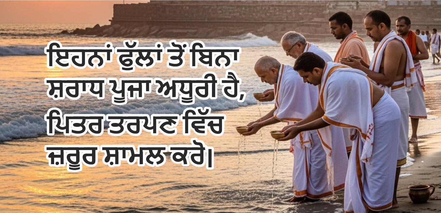 ਇਨ੍ਹਾਂ ਫੁੱਲਾਂ ਤੋਂ ਬਿਨਾਂ ਸ਼ਰਾਧ ਪੂਜਾ ਅਧੂਰੀ ਹੈ, ਇਨ੍ਹਾਂ ਨੂੰ ਪਿਤਰ ਤਰਪਣ ਵਿੱਚ ਜ਼ਰੂਰ ਸ਼ਾਮਲ ਕਰੋ
