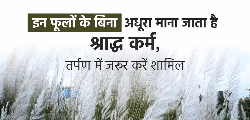 इन फूलों के बिना अधूरा माना जाता है श्राद्ध कर्म, तर्पण में जरूर करें शामिल
