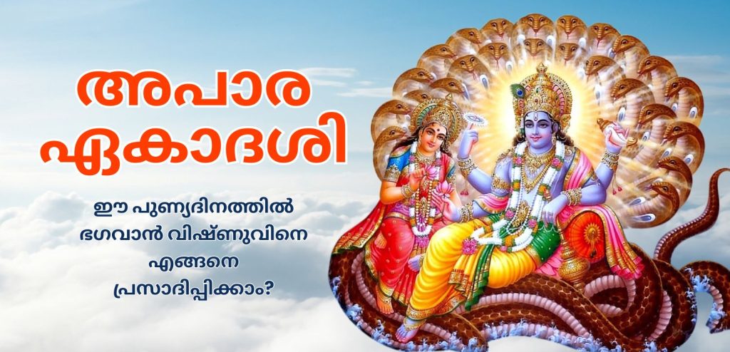 അപറ ഏകാദശി